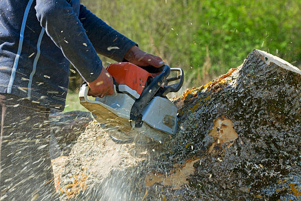 Best Lawn Pest Prevention  in Tequesta, FL